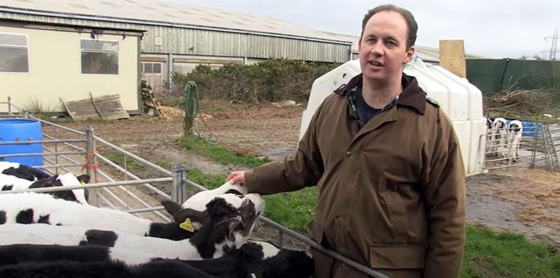 Impact on calves and the future of the herd | Cornish dairy farmer Mark will have to have 14 calves, some just a couple of months old, destroyed after they tested positive for bovine TB. See the impacts this has on him and the herd.