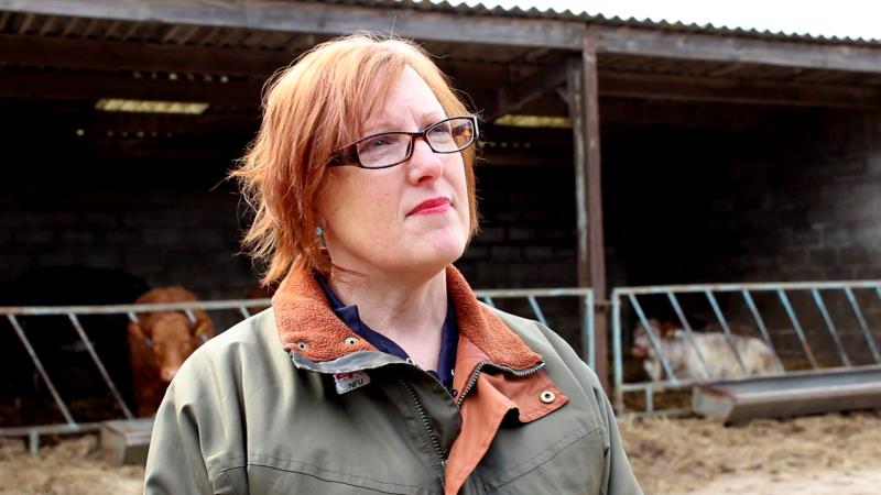 ‘What more can we do?’ The orphan calf | Barry and Angela’s farm was bovine TB free for seven years. Then, despite all of their precautions, one of the herd tested positive.